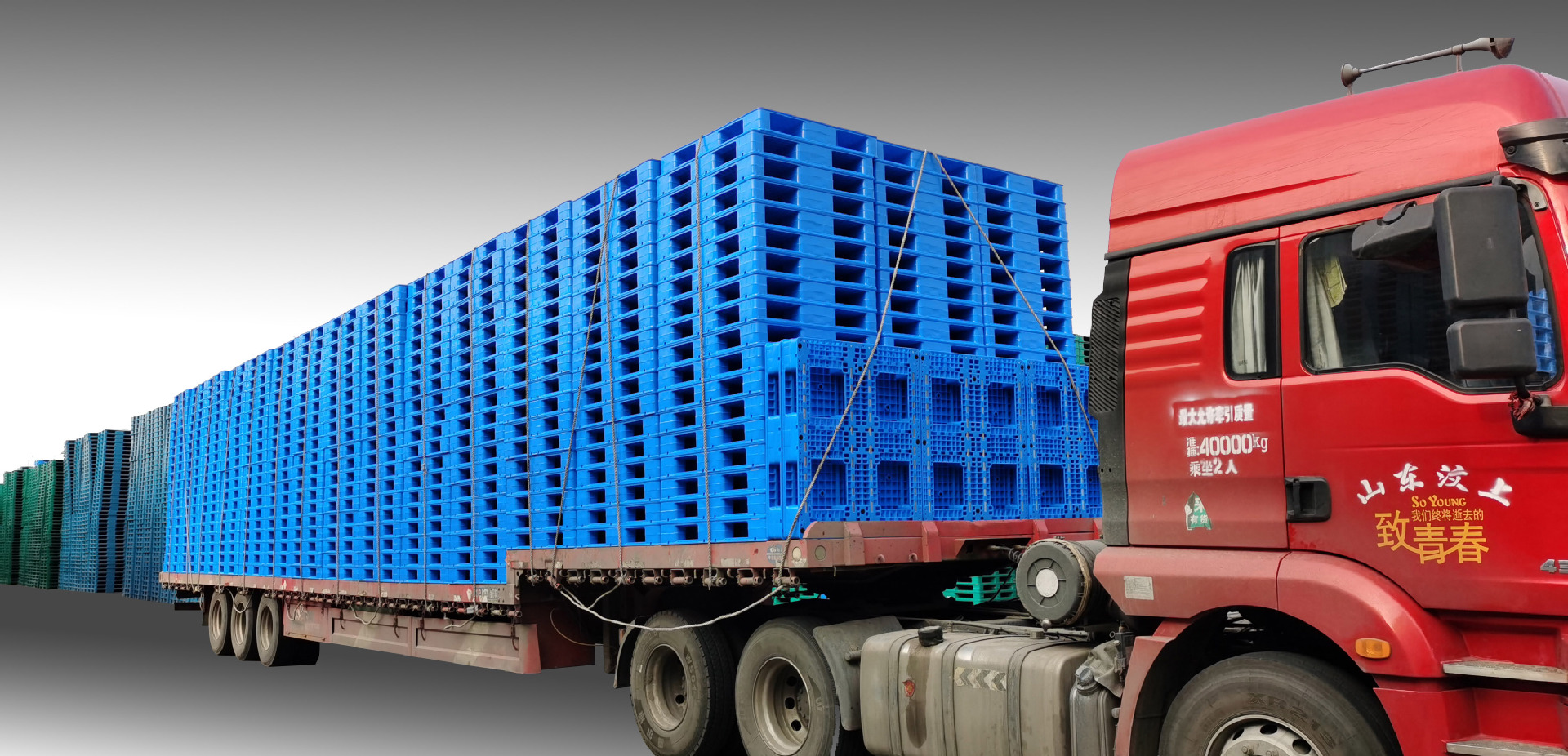 醫藥行業如何選購塑料托盤？