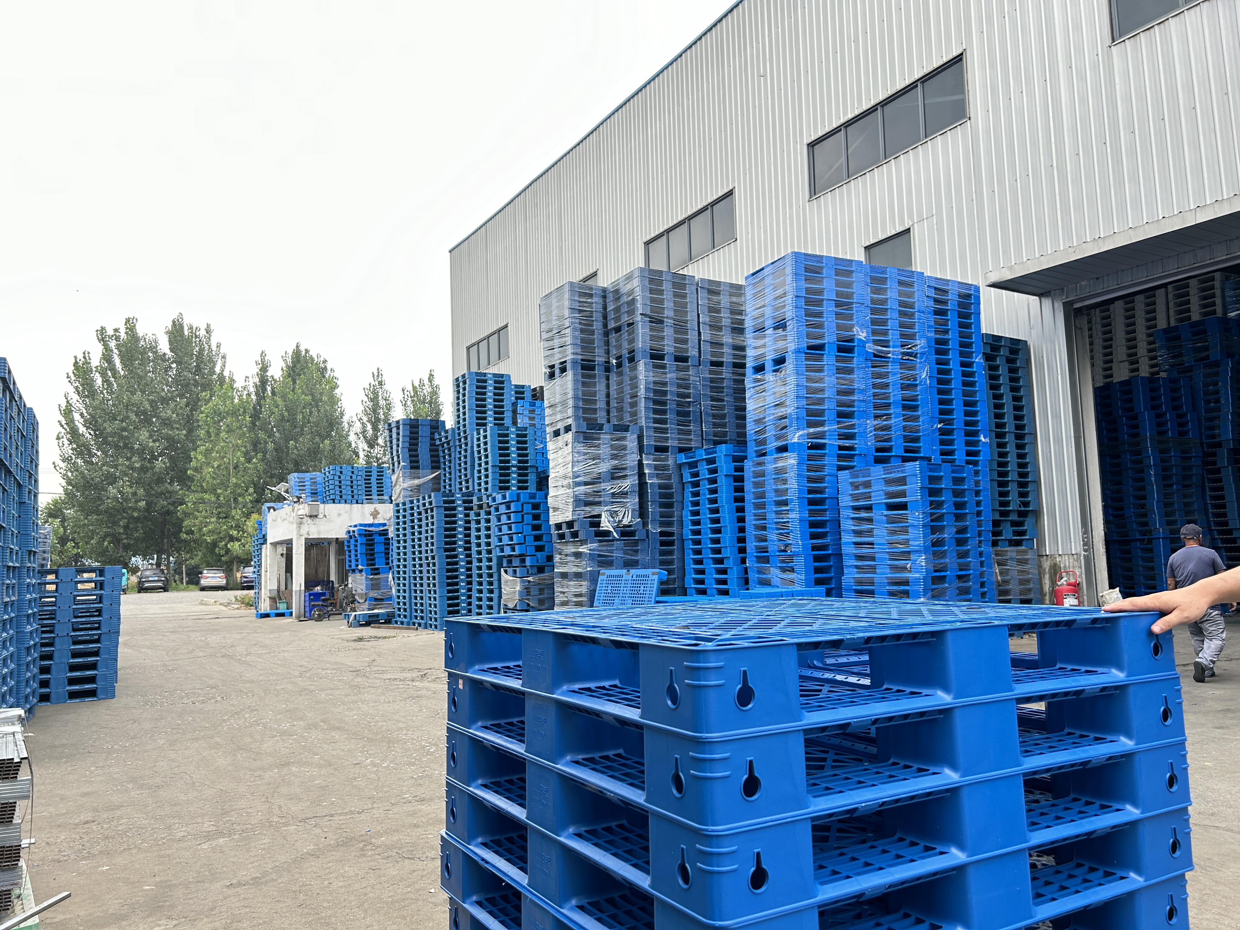 雙面塑料托盤(pán)的應(yīng)用領(lǐng)域和優(yōu)勢(shì)