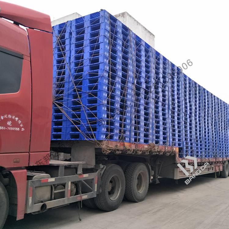 600個塑料托盤今日已經發貨